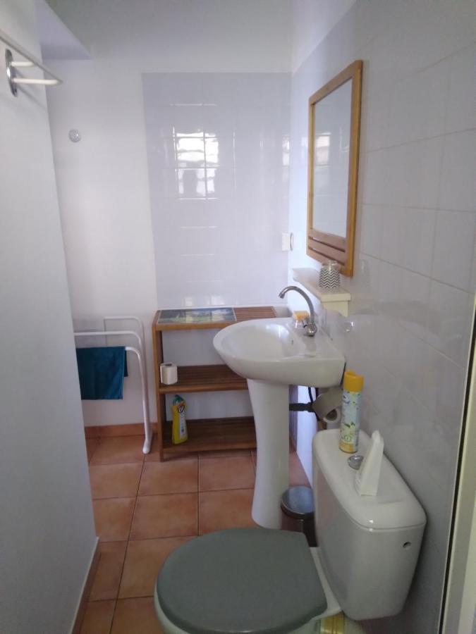 Studio Aux Avirons Pour 2 Personnes, Avec Piscine Les Avirons Luaran gambar